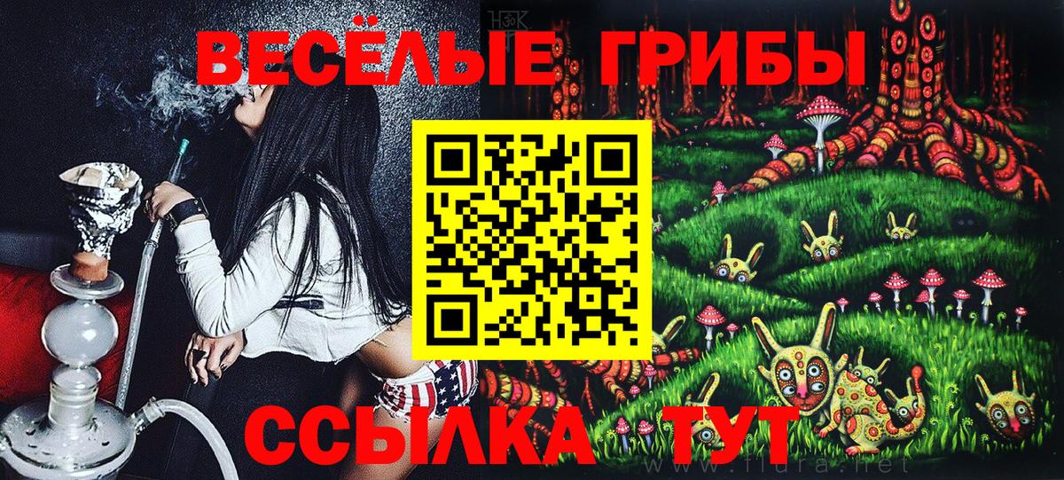 Псилоцибиновые грибы MAGIC MUSHROOMS  Вход с VPN  Сокол 